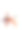 带植物的儿童瑜伽卡。黑人女孩在工作室或家里做体操。图片下载