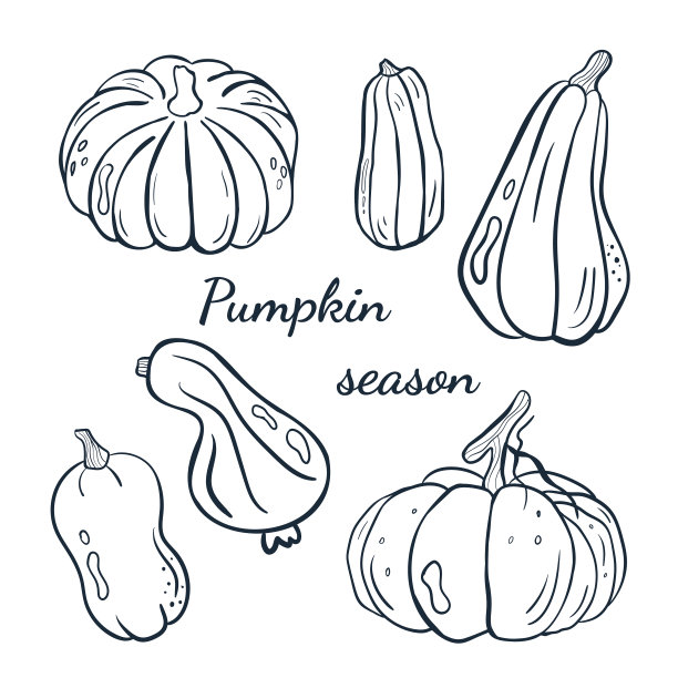 可爱的秋季涂鸦：南瓜季手绘矢量插画，适用于贺卡、海报和季节性设计图片下载