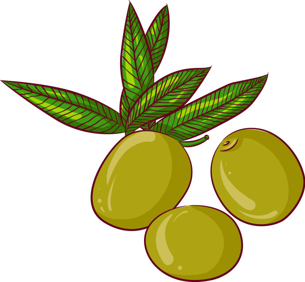 三个带叶子的绿橄榄图片下载