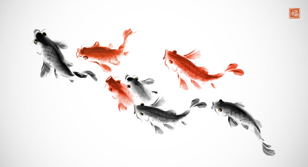 白底锦鲤群。传统的东方水墨画，眉娥，宇仙，郭华。象形文字-福祉的翻译图片下载