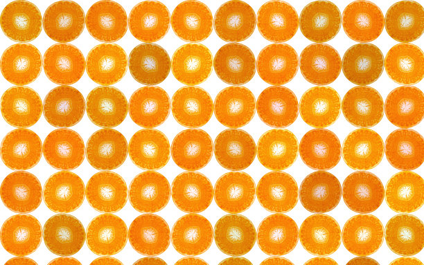 胡萝卜菜片花样孤立。图片下载