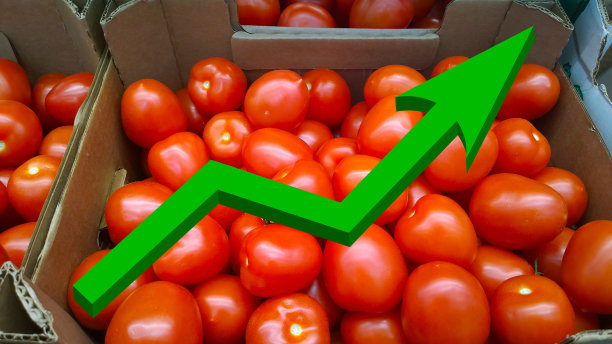 绿色3d成长大箭头背景红番茄。蔬菜。丰富的收获。产品供应。不断上涨的食品价格。通货膨胀。经济发展的概念。高的消费需求。购物。图片下载