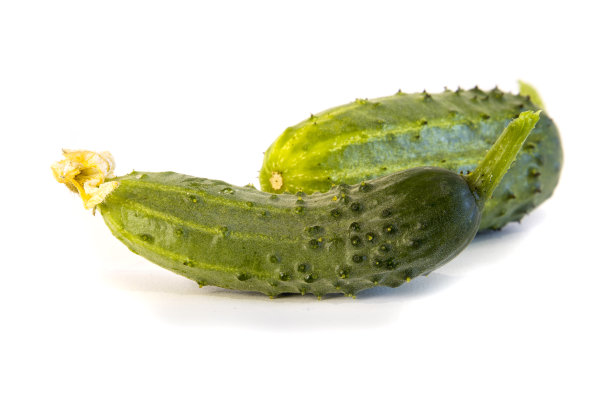 幼嫩黄瓜隔离在白色图片下载