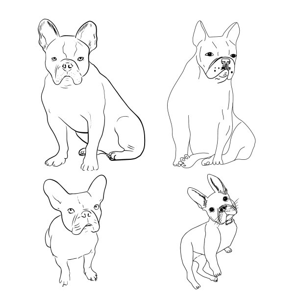 一套法国斗牛犬斗牛犬线艺术图片下载