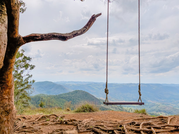 挂在树上的木制秋千。图片下载