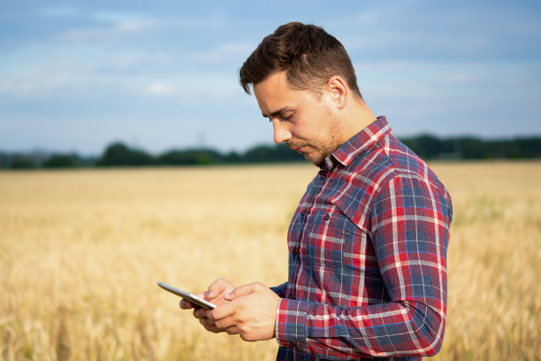 农民手持平板，农学家使用在线数据管理软件，创建麦田产量地图图片下载