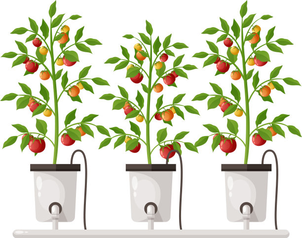 植物栽培温室组成图片下载