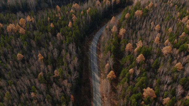 乌拉尔秋天的森林和道路全景图片下载