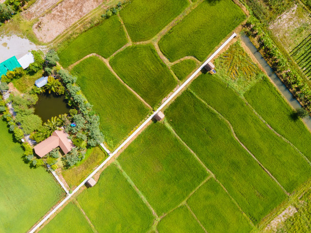 鸟瞰图绿色田野俯视图背景图片下载