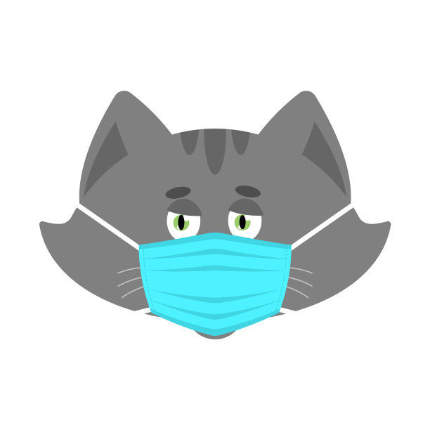 猫被冠状病毒隔离图片下载