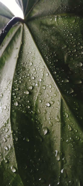 质地和抽象图片下载