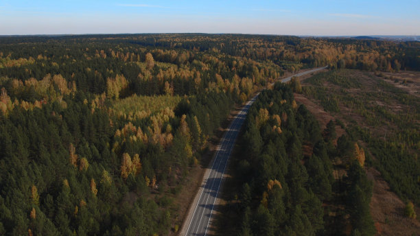 道路和移动的汽车之间五彩缤纷的秋天森林图片下载