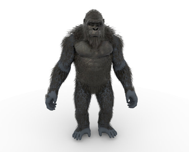 这是一个3d金刚图片下载