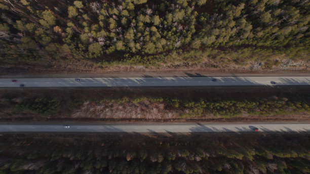 高速公路与交通车辆之间的绿色森林图片下载