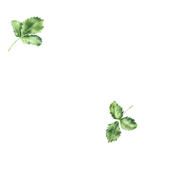 水彩草莓图案。手绘水彩插图图片下载