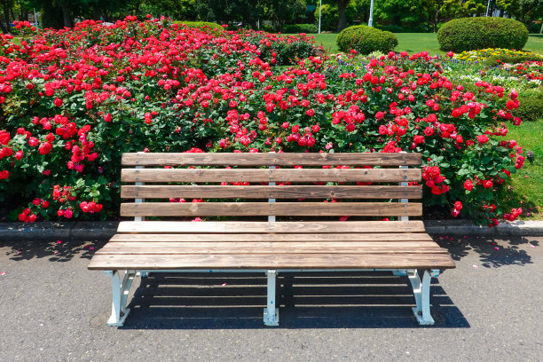 绿草如茵的海边长椅(横滨山下公园)图片下载