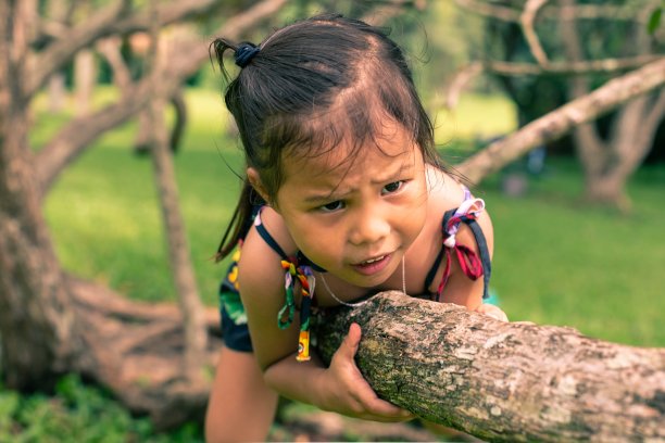 一个害怕高的小女孩，坐在高高的树上。图片下载