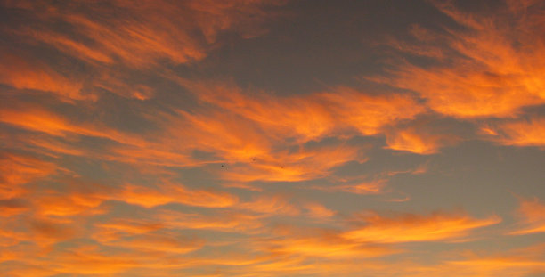 万圣节的日落。图片下载