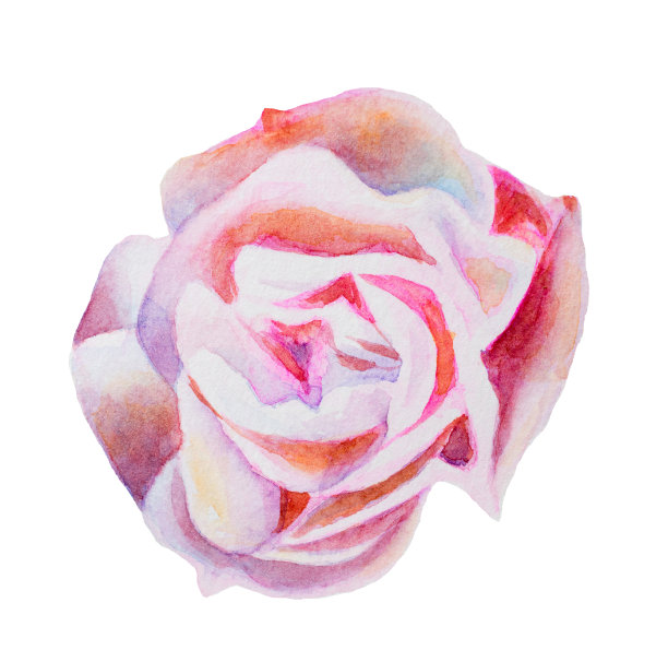 美丽的手绘水彩玫瑰图标材料的形象。图片下载