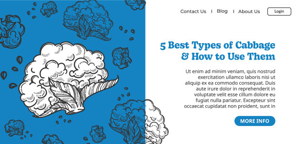 最好的卷心菜种类和如何使用它们图片下载