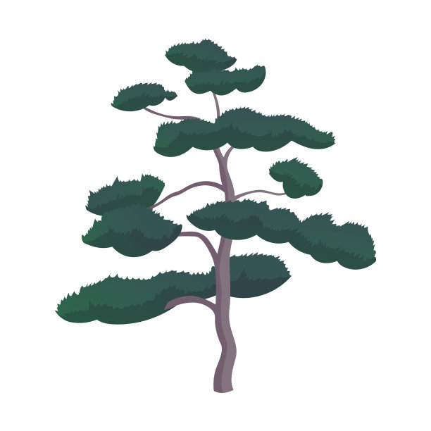 现实的绿色橡树孤立在白色背景图片下载