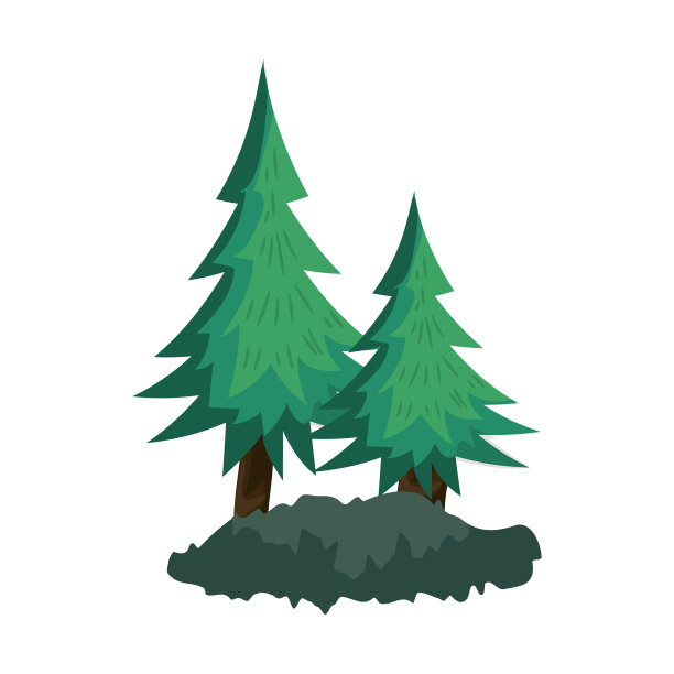 现实稠密的绿色冷杉树在白色图片下载