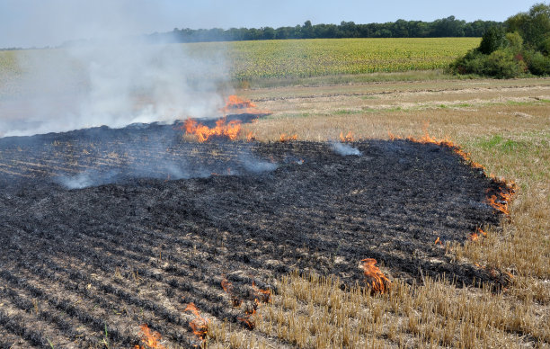 田野上燃烧着残茬图片下载
