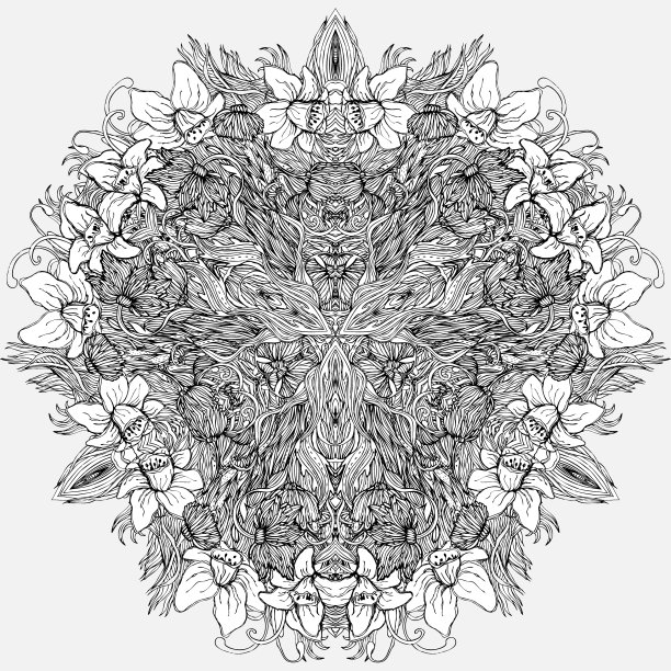 华丽的花边黑白线条图案图片下载