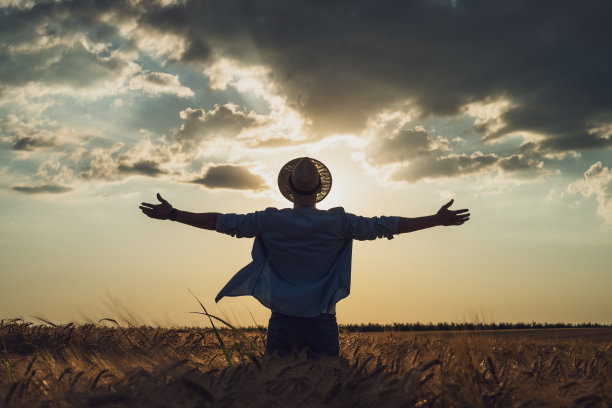 一个农民的剪影，双手伸开大麦田图片下载