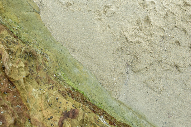 海洋背景图片图片下载