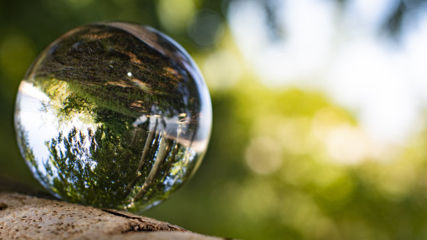 这张照片展示了如何从自然中获得灵感。图片下载