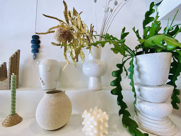 植物和陶瓷的内部架子图片下载