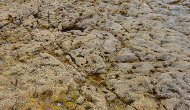 海洋背景图片图片下载