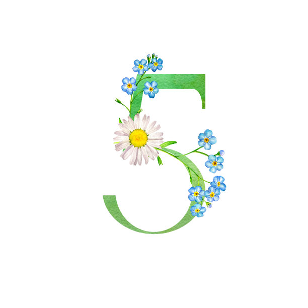 水彩画五号，画有花图片下载