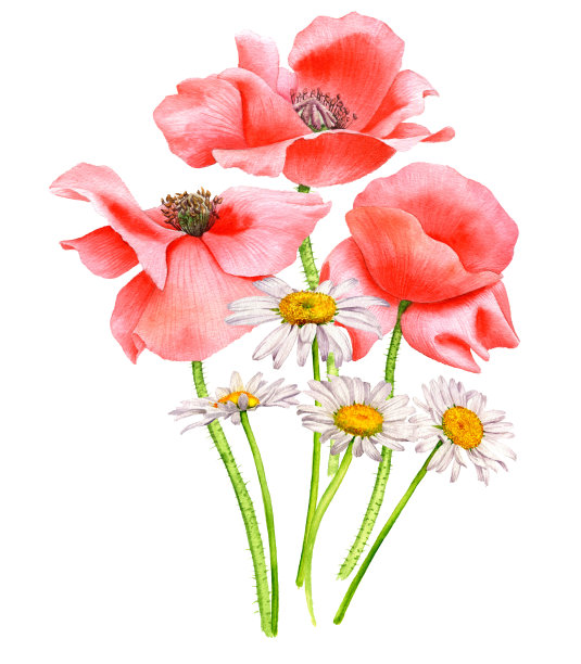 水彩画花束图片下载