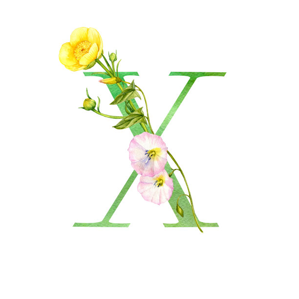 用花画字母x的水彩画图片下载