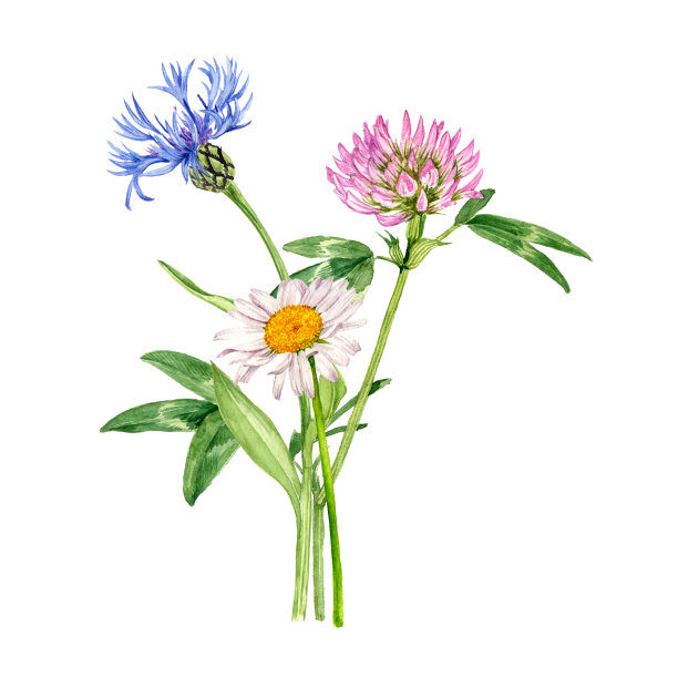 水彩画花束图片下载