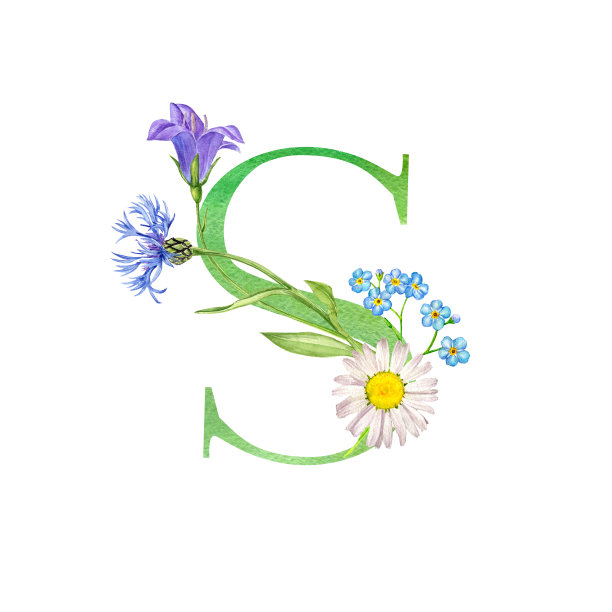水彩画字母S与花图片下载
