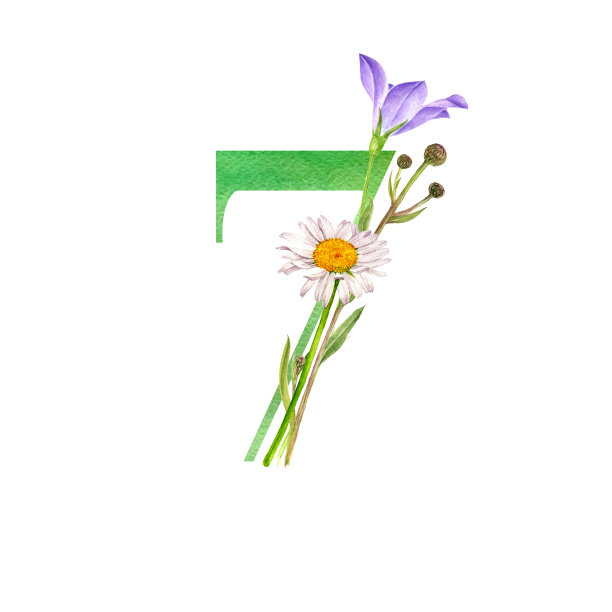水彩画7号花图片下载