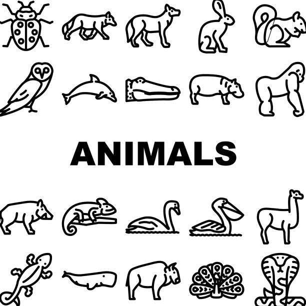 野生动物，鸟类和昆虫图标设置图片下载