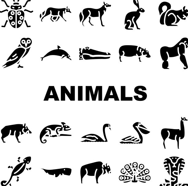 野生动物，鸟类和昆虫图标设置图片下载