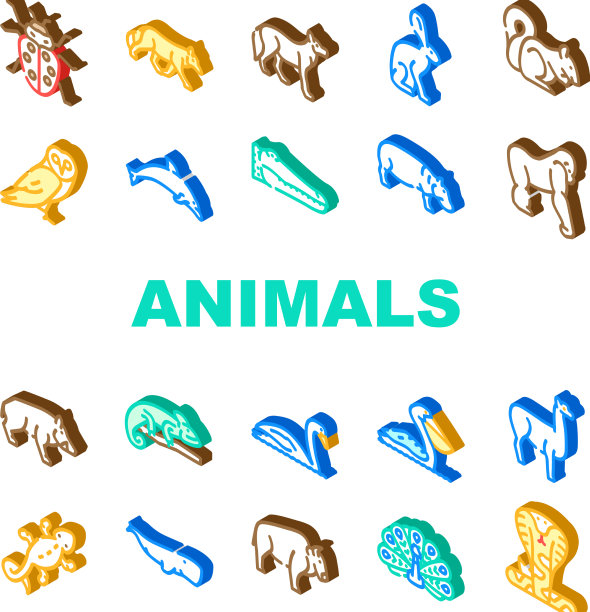 野生动物，鸟类和昆虫图标设置图片下载