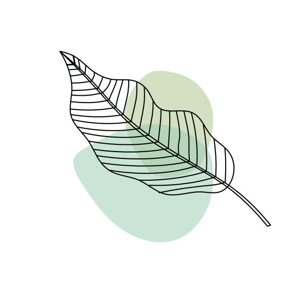 抽象的彩色叶子就像白色的线条画图片下载