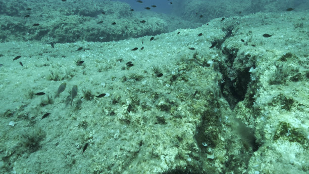 一群鱼在构造板块上方的海床裂缝上游动。海底板块的提坦式位移。地中海水下海景。地中海图片下载