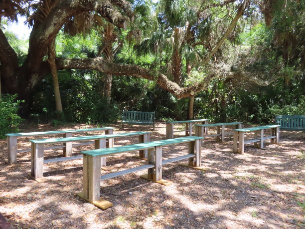 户外教室座位区，热带自然环境的木制长椅图片下载