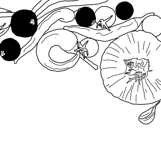 洋葱，辣椒，西红柿和蔬菜图片下载