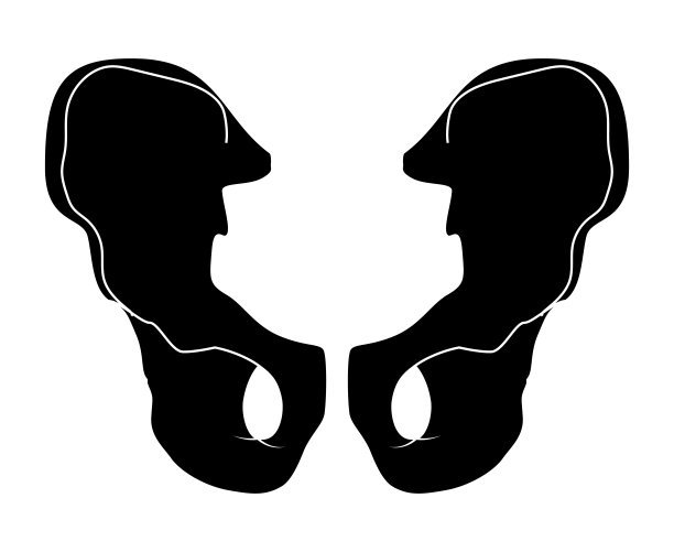 骨骼人体臀部轮廓骨盆身体骨骼-手，腿，胸部，头，椎体，骨盆，大腿前视图平坦的黑色颜色解剖学矢量图孤立在白色背景图片下载