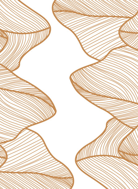 抽象线条艺术背景在亚洲日本或中国风格。叶轮廓图。手绘涂鸦轮廓白色背景。黄金优雅的纹理矢量边界插图。图片下载