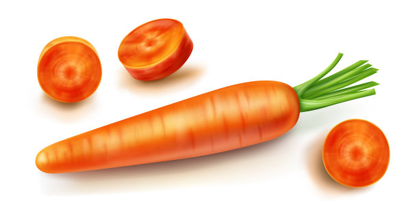 胡萝卜与绿叶载体分离图片下载