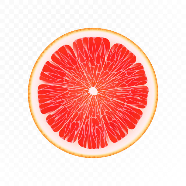 葡萄柚片。粉红柚子圆形切片，透明背景。葡萄柚粉红色。逼真的3d矢量插图。平的。前视图。图片下载